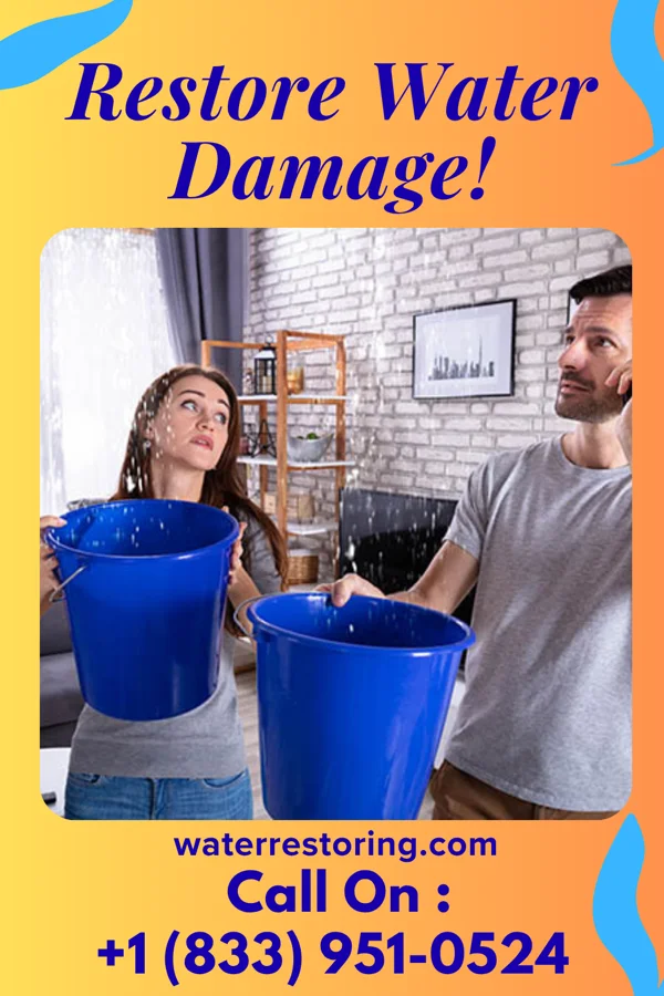 water restoration Rapid Water Damage Masters Pupukea