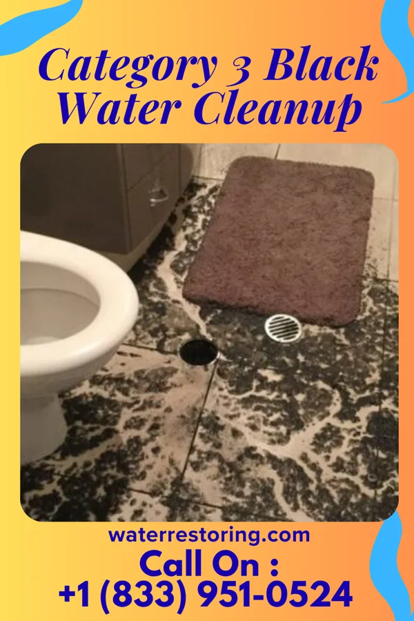 Category 3 Black Water Cleanup in Pupukea, HI