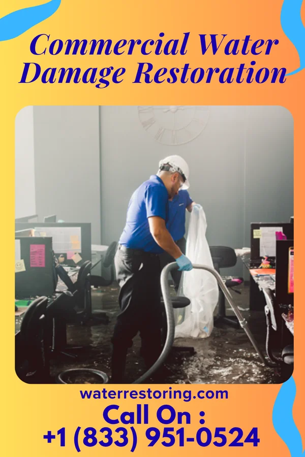Commercial Water Damage Restoration in Pupukea, HI