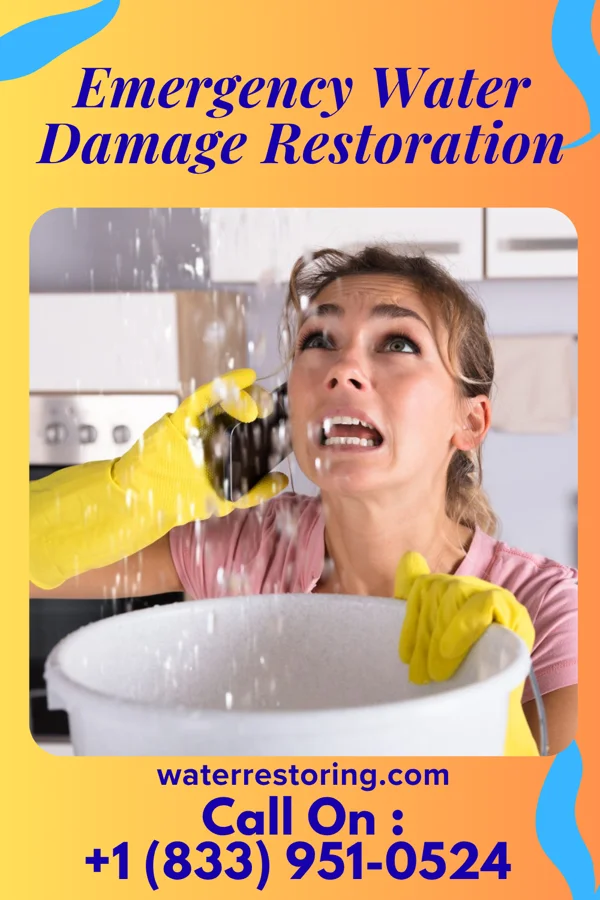 Emergency Water Damage Restoration in Pupukea, HI