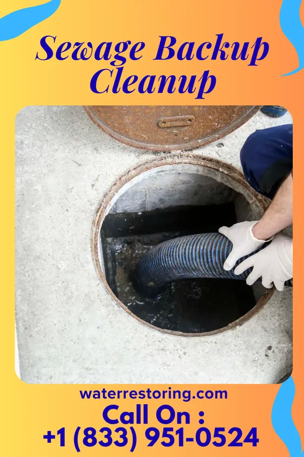 Sewage Backup Cleanup in Pupukea, HI
