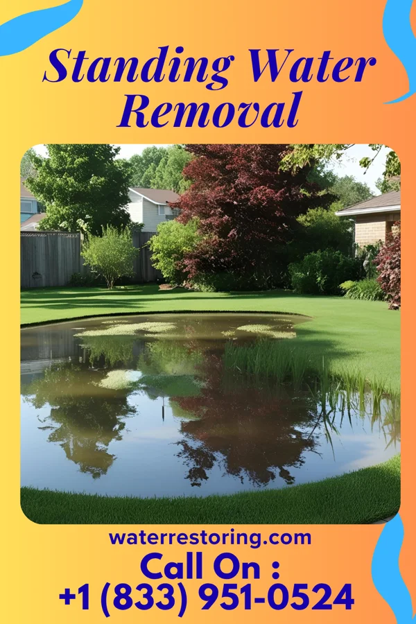Standing Water Removal in Pupukea, HI